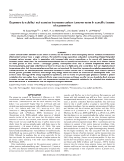 Exposure to cold but not exercise increases carbon turnover rates in