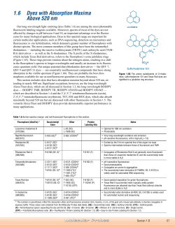 Section 1.6 - Dyes with Absorption Maxima Above 520 nm