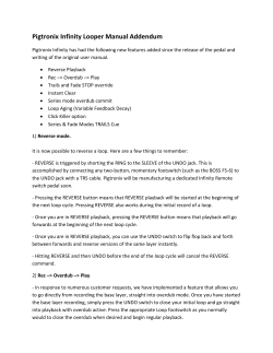 Pigtronix Infinity Looper Manual Addendum
