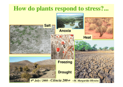 (Microsoft PowerPoint - LA-HowPlantsRespond-to