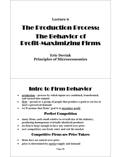 The Production Process: The Behavior of Profit