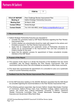 Partnership Peer Review - Consultation