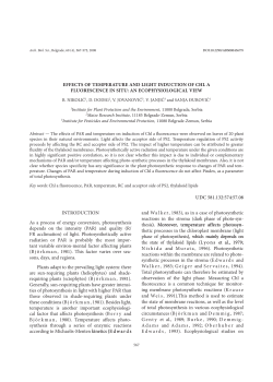 Effects of temperature and light induction of CHL a fluorescence in
