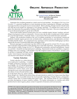 Organic Asparagus Production