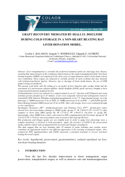 graft recovery mediated by diallyl disulfide during cold