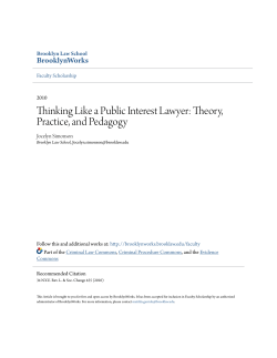 Thinking Like a Public Interest Lawyer: Theory
