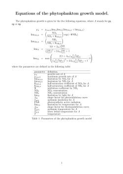 Equations of the phytoplankton growth model.