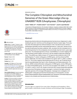 The Complete Chloroplast and Mitochondrial Genomes of the Green
