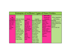 Examples of Different Types of Plant Protein