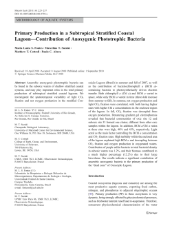 Primary Production in a Subtropical Stratified Coastal Lagoon