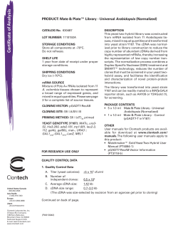 Certificate of Analysis