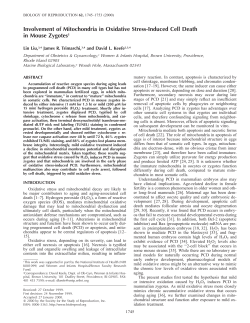Involvement of Mitochondria in Oxidative Stress