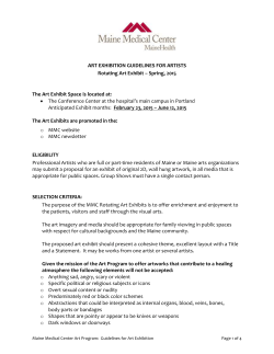 MMC Rotating Art Guidelines