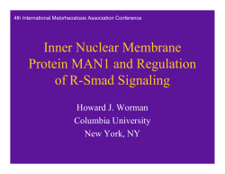 Inner Nuclear Membrane Protein MAN1 and Regulation of R