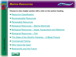 Life on an Ocean Planet