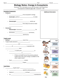Biology Notes: Energy in Ecosystems