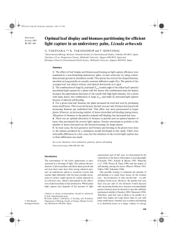 Optimal leaf display and biomass partitioning for efficient light