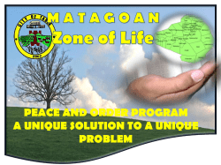 peace and order program a unique solution to a unique problem