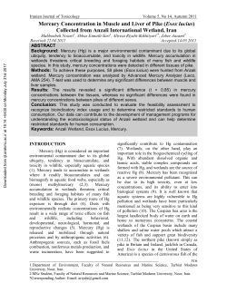 Mercury Concentration in Muscle and Liver of Pike