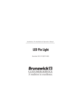 LED Pin Light - Brunswick Bowling