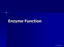 Enzyme Function