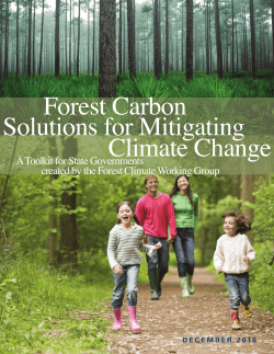 Forest Carbon Solutions for Mitigating Climate Change