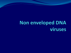Non enveloped DNA viruses