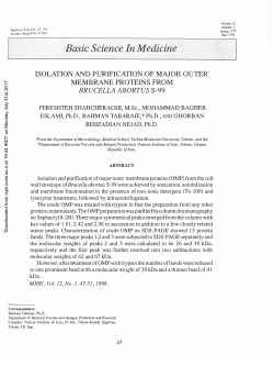 isolation and purification of major outer membrane proteins from