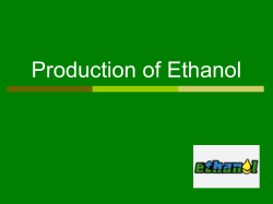 The Science of Ethanol