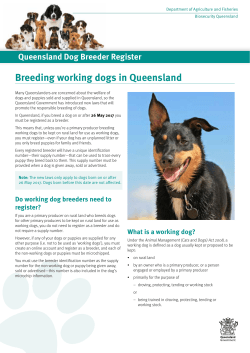 Breeding working dogs in Queensland