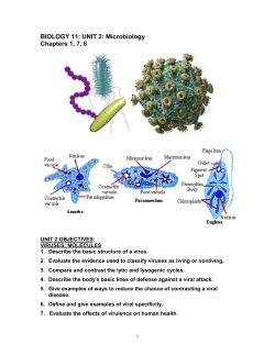 science 10 lab activity