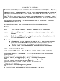 guidelines for mentoring