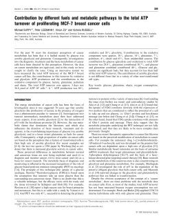 Contribution by different fuels and metabolic pathways to the total