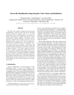 Person Re-identification using Semantic Color Names and RankBoost