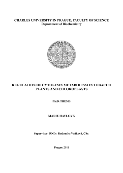 regulation of cytokinin metabolism in tobacco plants and chloroplasts