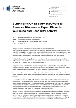 Submission-to-the-Financial-Wellbeing-and-Capability