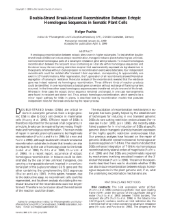 Double-Strand Break-Induced Recombination Between Ectopic