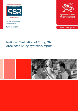 National Evaluation of Flying Start - Area case study synthesis report