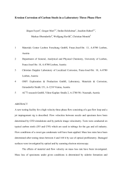 Erosion Corrosion of Carbon Steels in a Laboratory