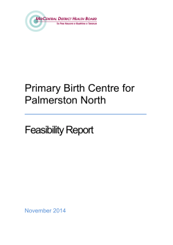 Primary Birth Centre for Palmerston North Feasibility