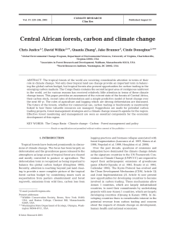 Central African forests, carbon and climate change