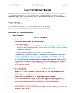 Does Coke or Club Soda affect the growth of a plant?