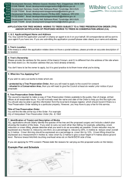Example Plan and Schedule
