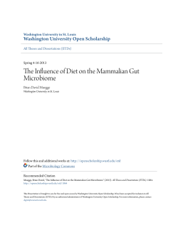 The Influence of Diet on the Mammalian Gut Microbiome