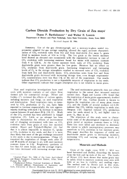 Carbon Dioxide Production by Dry Grain of Zea