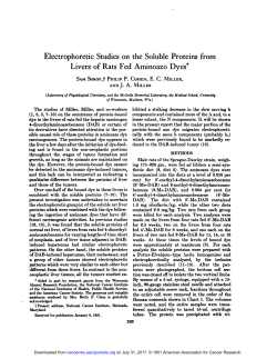 Electrophoretic Studies on the Soluble Proteins