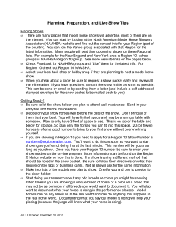 Tips and Tricks for the Model Horse Hobby