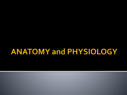 ANATOMY and PHYSIOLOGY