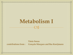 Dynamic Energy Budget Theory