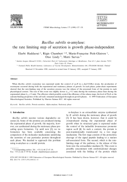 Bacillus subtilis&alpha;-amylase: the rate limiting step of secretion is